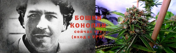 apvp Арсеньев