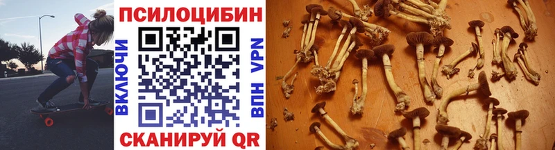 ссылка на мегу tor Можга Псилоцибиновые грибы Psilocybine cubensis